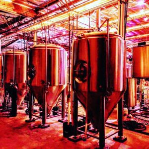 Kettles at Old Stump with Red Lighting